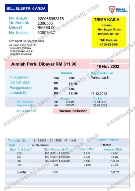 INDIA TENAGA NASIONAL utility bill Word and PDF template